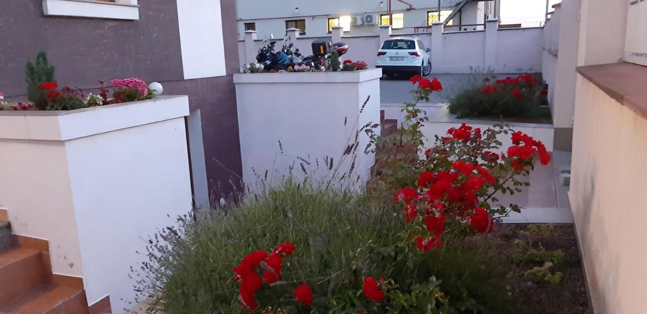 Vila Family Cricova Extérieur photo