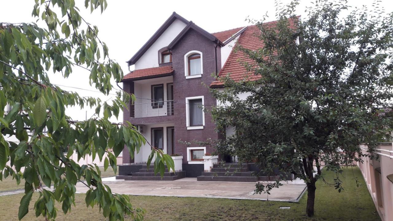 Vila Family Cricova Extérieur photo